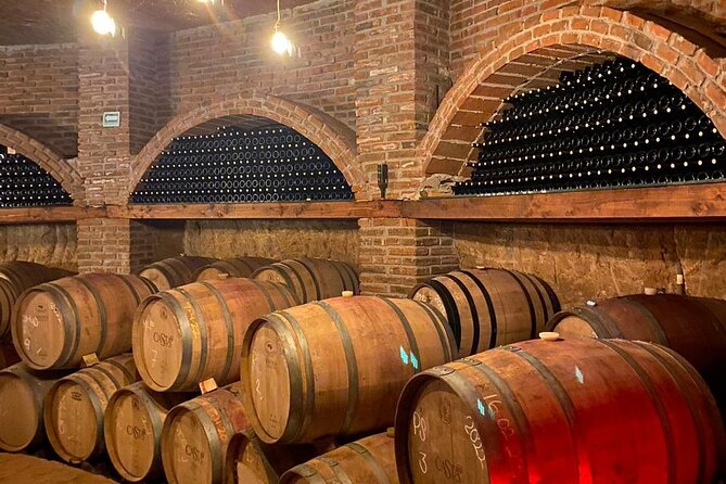 Private Tour in Guadalupe Valley, Vine Yards & Wine Route ENS MX - What you will see beyond the tasting room