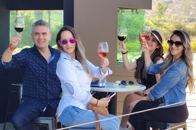 Private Tour in Guadalupe Valley, Vine Yards & Wine Route ENS MX - A guide who adds local context