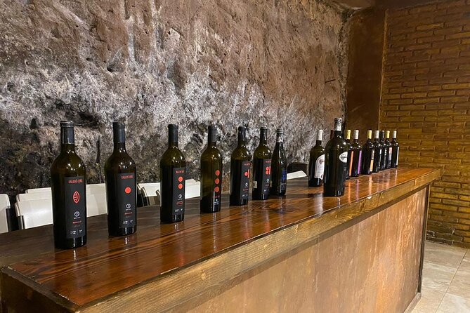Private Tour in Guadalupe Valley, Vine Yards & Wine Route ENS MX - Who will get the most from this tour