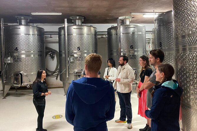 Private Tour in Guadalupe Valley, Vine Yards & Wine Route ENS MX - Why the private format matters