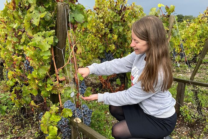 Private tour in the prestigious Médoc wine region - Château Lamothe-Bergeron and the family-estate contrast