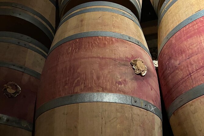 Private tour in the prestigious Médoc wine region - Château photo stops and the visual side of the route