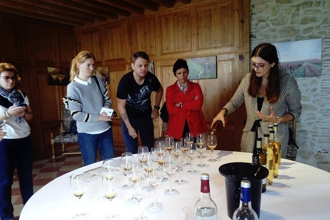 Private tour in the Sauternes wine region - discover Bordeaux sweet Crus Classés - Why Sauternes deserves a full half-day