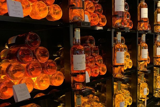 Private tour in the Sauternes wine region - discover Bordeaux sweet Crus Classés - Château Guiraud: your first look at Sauternes