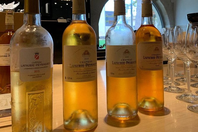Private tour in the Sauternes wine region - discover Bordeaux sweet Crus Classés - A private vehicle changes the pace