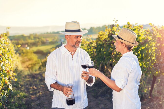 Private Tour: Napa and Sonoma Wine Country - Sutter Home and the larger winery perspective