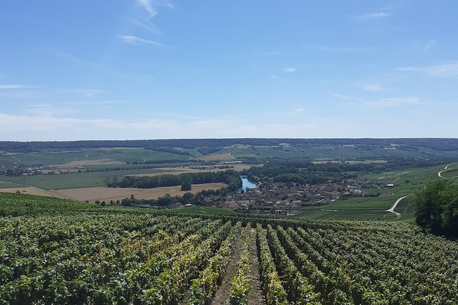 Private Tour of a Wine Estate and Oeno-olfactory Workshop - Why the private format matters