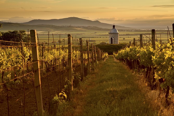 Private Tour to Czech Wine Regions - Lednice and Valtice - Is the $382.01 price good value?