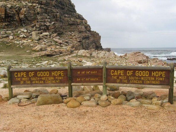 Private Tour with Wine Expert to Cape of Good Hope & Constantia Wine Region - Why This Cape Town Day Works So Well
