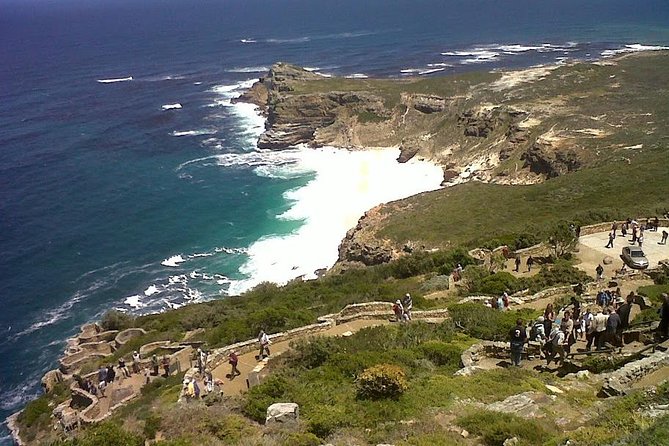 Private Tour with Wine Expert to Cape of Good Hope & Constantia Wine Region - Constantia Wine Country: Choosing Two Estates