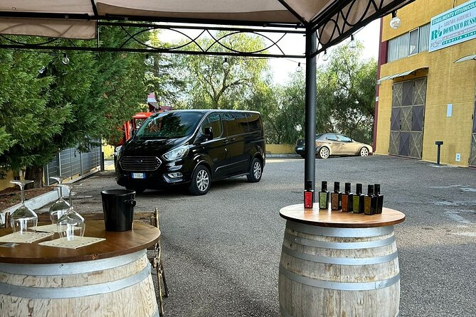 Private Trip to the Vineyards of Ginosa with tasting from Matera - Who will enjoy this Ginosa outing most