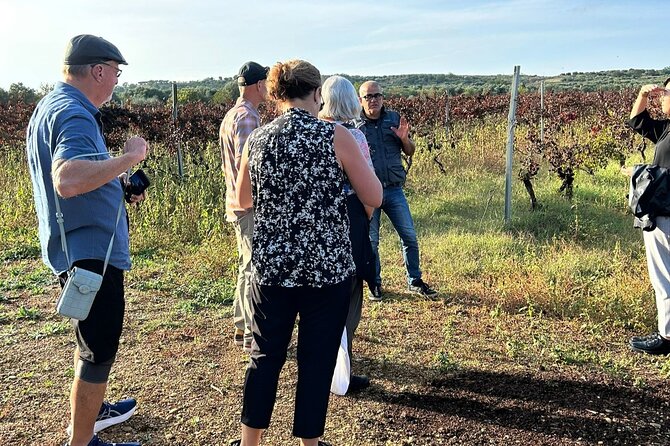 Private Trip to the Vineyards of Ginosa with tasting from Matera - The final tasting: Puglian wine and local snacks