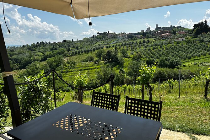 Private Tuscan Lunch with Wine & Evo oil tasting in the Vineyard - Key points to know