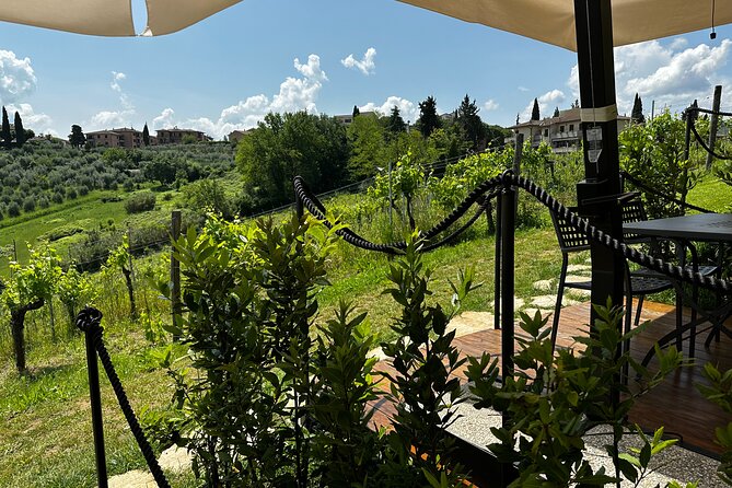 Private Tuscan Lunch with Wine & Evo oil tasting in the Vineyard - Learning about biodynamic farming