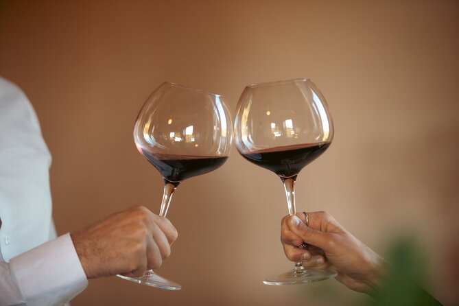 Private Tuscan Lunch with Wine & Evo oil tasting in the Vineyard - Who should book this experience?
