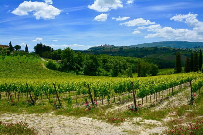 Private Tuscany Day Tour: San Gimignano and Chianti Wine Region from Florence - The wine stops and what to expect