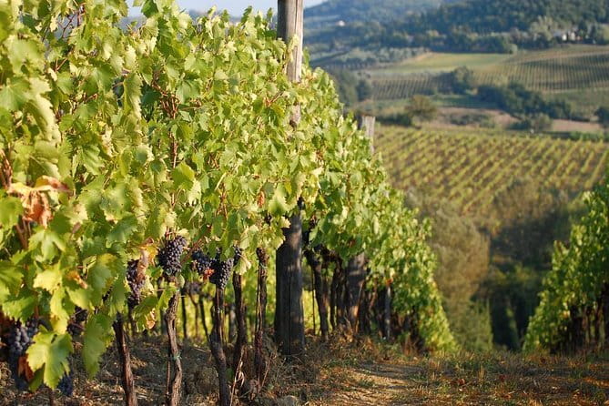 Private Tuscany Day Tour: San Gimignano and Chianti Wine Region from Florence - San Gimignano and its medieval towers