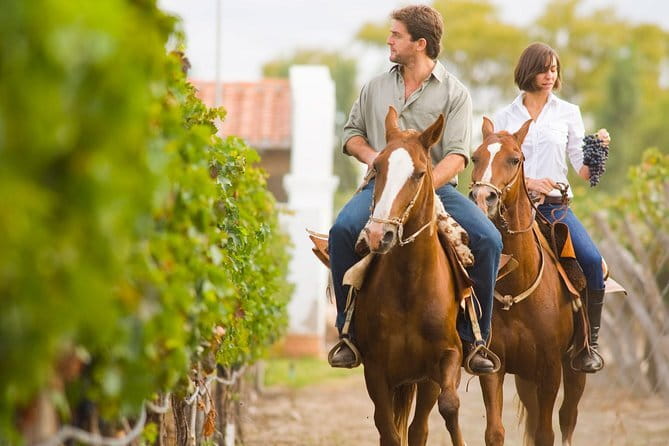 Private Tuscany Day Tour: Siena and Chianti Wine Region from Florence - The road through Chianti is part of the experience