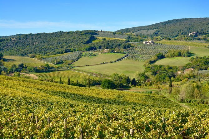 Private Tuscany Day Tour: Siena and Chianti Wine Region from Florence - Siena’s Duomo gives the day a strong start
