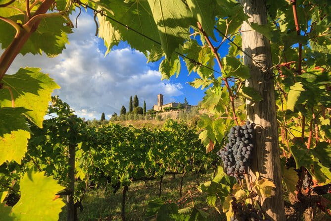 Private Tuscany Tour from Florence Including Siena, San Gimignano and Chianti Wine Region - A private route through Tuscany from Florence