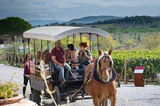 Private Tuscany Tour from Florence Including Siena, San Gimignano and Chianti Wine Region - Final call: a strong private sampler, not a leisurely day