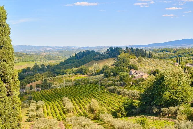 Private Tuscany Tour from Florence Including Siena, San Gimignano and Chianti Wine Region - San Gimignano: towers, gelato, and a short walk