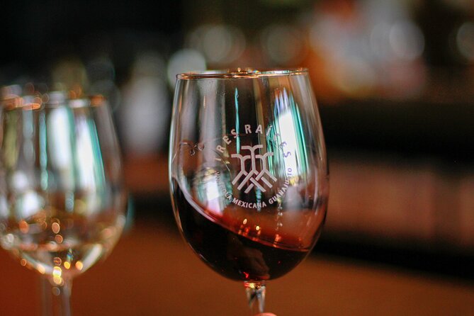 Private Vineyard and Wine Testing Tour From Guanajuato - Two Mexican vineyards in one long day