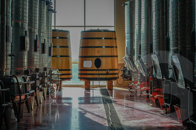 Private Vineyard and Wine Testing Tour From Guanajuato - A practical look at the tour price