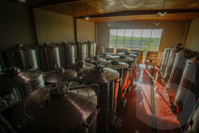 Private Vineyard and Wine Testing Tour From Guanajuato - Atotonilco and the Sanctuary of Jesús Nazareno