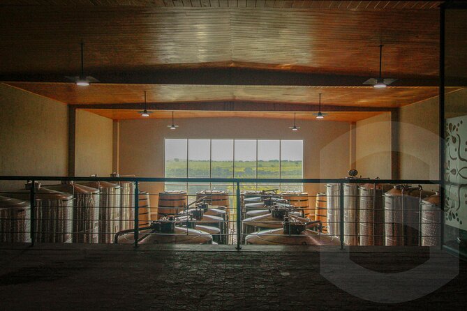 Private Vineyard and Wine Testing Tour From Guanajuato - Who should book this day