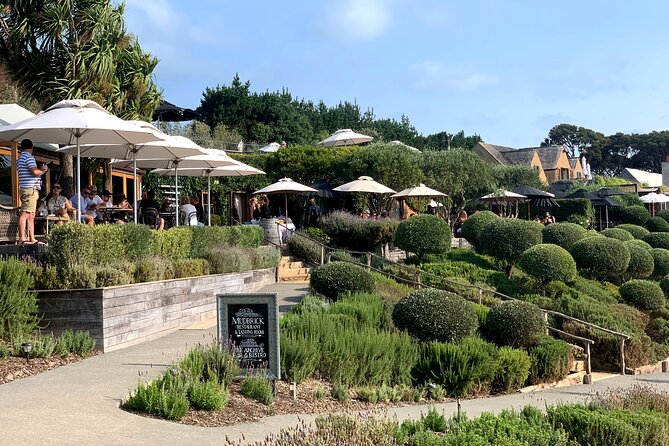 Private Vineyard Bush Walk Tour in Waiheke Island - From Matiatia to the first headland