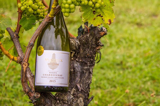 Private Vineyard Bush Walk Tour in Waiheke Island - What the guides add to the day