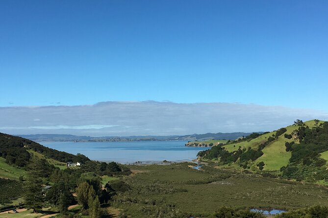 Private Vineyard Bush Walk Tour in Waiheke Island - Lunch, picnics, and the real cost