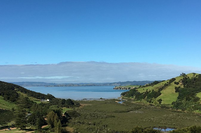 Private Vineyard Bush Walk Tour in Waiheke Island - Who will enjoy this Waiheke outing?