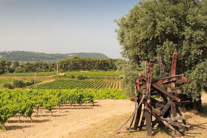 Private Vineyard Tour and Wine Tasting in Bandol - Leaving Toulon for Bandol’s wine country
