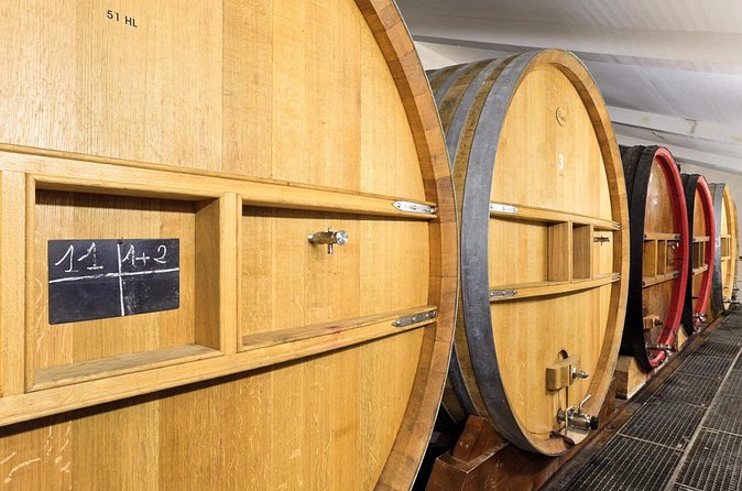 Private Vineyard Tour and Wine Tasting in Bandol - Tasting red, white, and rosé Bandol wines
