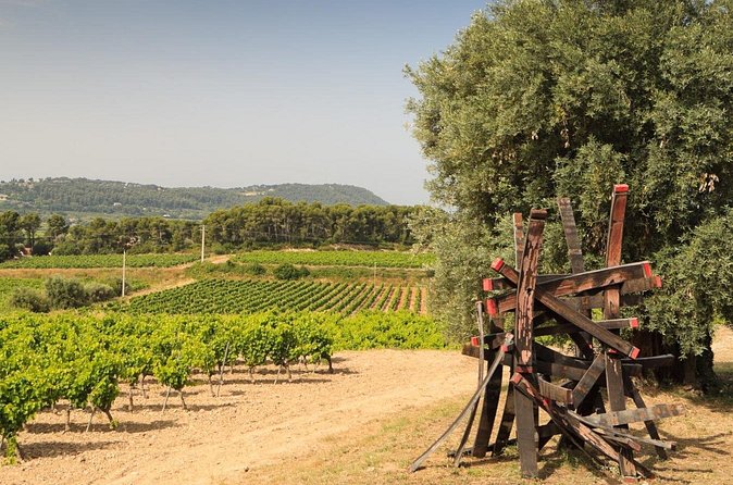 Private Vineyard Tour and Wine Tasting in Bandol - Is $90.22 per person fair?