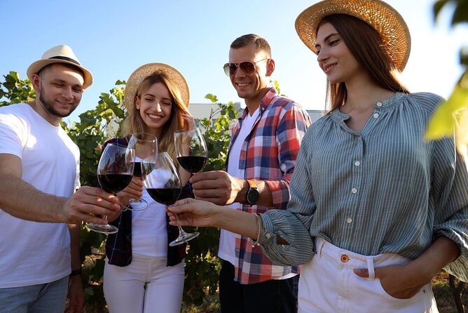 Private Vineyard Tour with Dinner Under the Stars in Karnas - Who will enjoy this private Bodrum evening