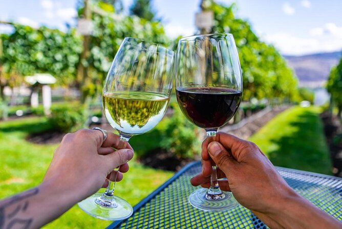 Private Vineyard Tour with Dinner Under the Stars in Karnas - My take on the food and wine focus