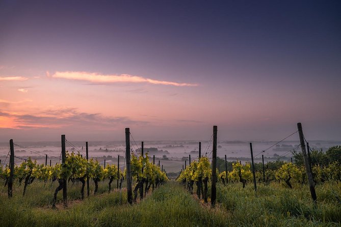 Private Wine and Chocolate Tour in Niagara Wine Region - A Private Route Through Niagara Wine Country