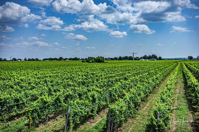 Private Wine and Chocolate Tour in Niagara Wine Region - What the $296.92 Price Really Covers