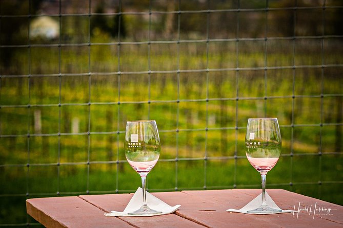 Private Wine and Chocolate Tour in Niagara Wine Region - How the Private Vehicle Changes the Day