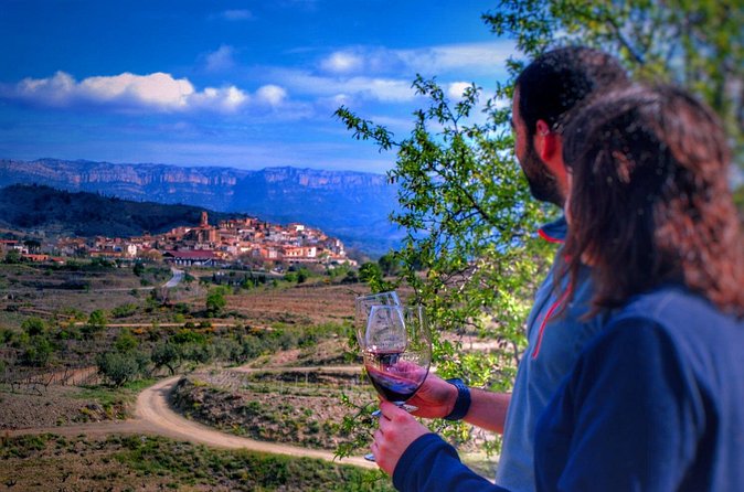 Private Wine and Oil Tour in the Priorat Wine Region - The DOQ Priorat Tasting