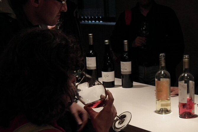 Private Wine and Oil Tour in the Priorat Wine Region - Viewpoints Beyond the Main Roads
