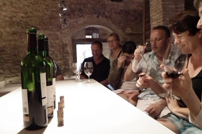 Private Wine and Oil Tour in the Priorat Wine Region - Celler Devinssi and Wine Among the Vineyards