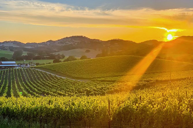Private Wine Country Tour Including Photography Services - Key points to know before you book
