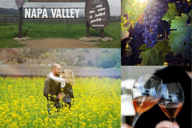 Private Wine Country Tour Including Photography Services - Why the private vehicle matters
