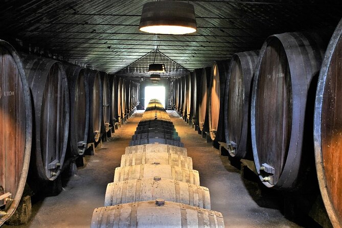 Private Wine Tasting in the Setúbal Wine Region, from Lisbon - José Maria da Fonseca starts the wine story