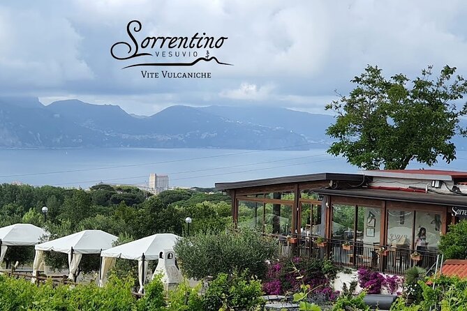 Private Wine Tour,lunch,8 wines, dedicated sommelier and trasport - The Bay of Naples viewpoint