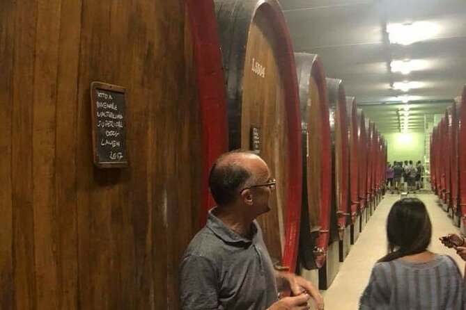 Private Wine Tour: Terraced Vineyards with Alpine view from Milan - Morbegno and the family cellar stop